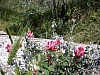 sicile 2008 294.jpg